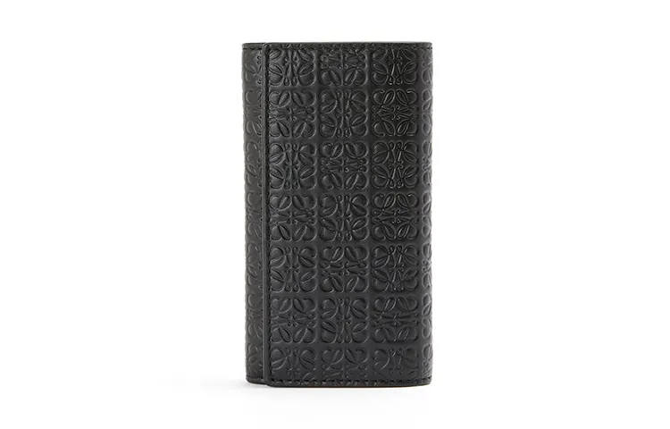 LOEWE Silk Calfskin Key Pouch Women's Black