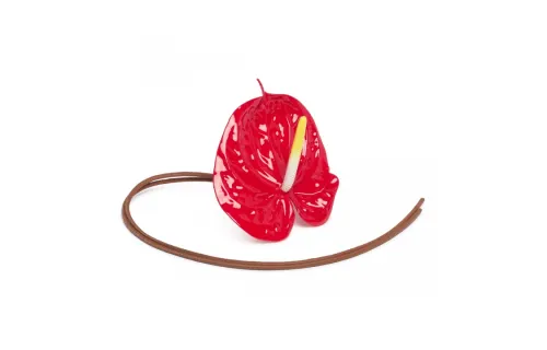 LOEWE Charms Women's Red