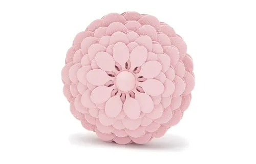 LOEWE Charms Women's Pink