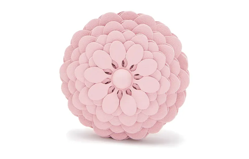 LOEWE Charms Women's Pink