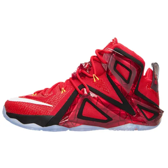Nike LeBron 12 Elite Team