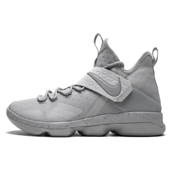 Nike LeBron 14 Silver