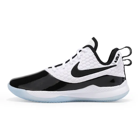 Nike LeBron Witness 3 PRM Concord