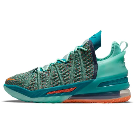 Nike LeBron 18 We Are Family
