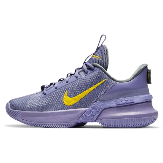Nike LeBron Ambassador 13 Lakers
