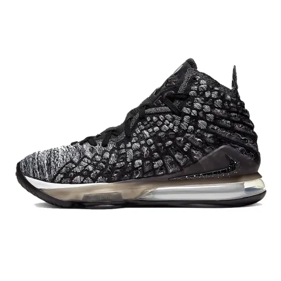 Nike LeBron 17 In The Arena