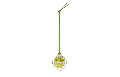 LOEWE Charms Women's Green