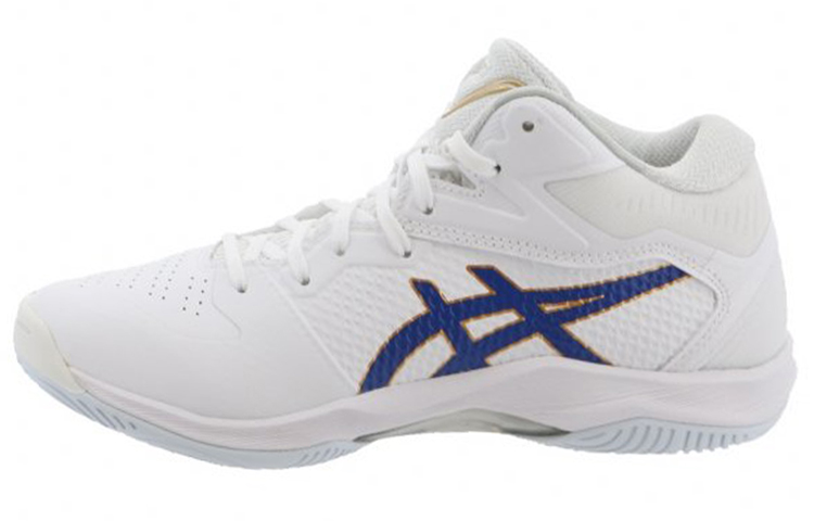 Asics Gel-Hoop V12 3E