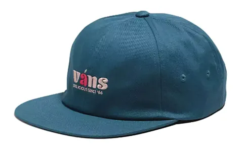 Vans Baseball Caps Unisex Blue