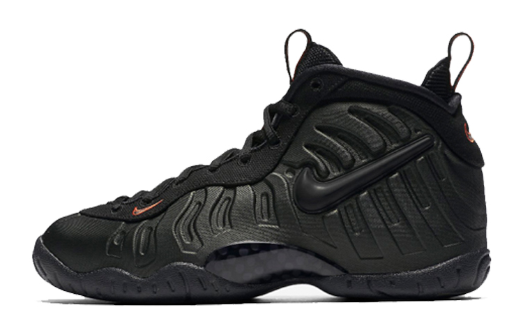 Nike Foamposite Pro GS