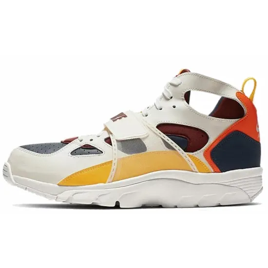 Nike Air Trainer Huarache City Pride Houston
