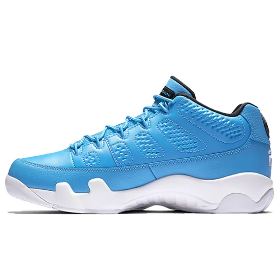 Jordan 9 Retro Low Pantone