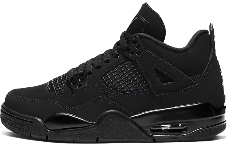 Jordan Air Jordan 4 GS 2020