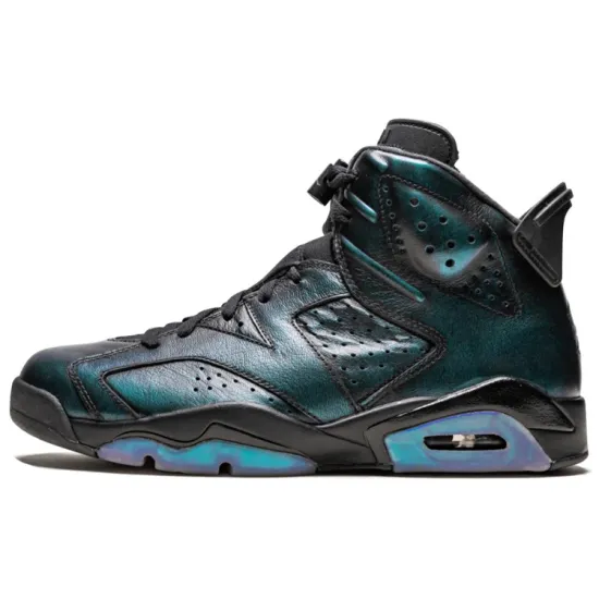Jordan 6 Retro All-Star Chameleon 2017