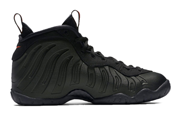 Nike Foamposite Pro GS