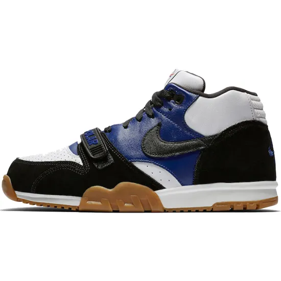 Nike Sb Air Trainer 1 Polar Skate Co