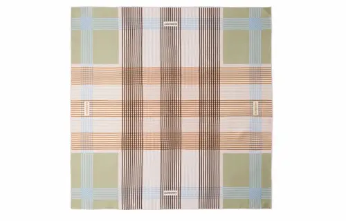 Burberry Patterned Print Scarves Women's Green