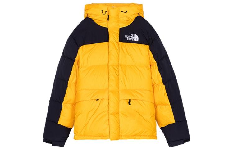 THE NORTH FACE DOWN PARKA ENERGY