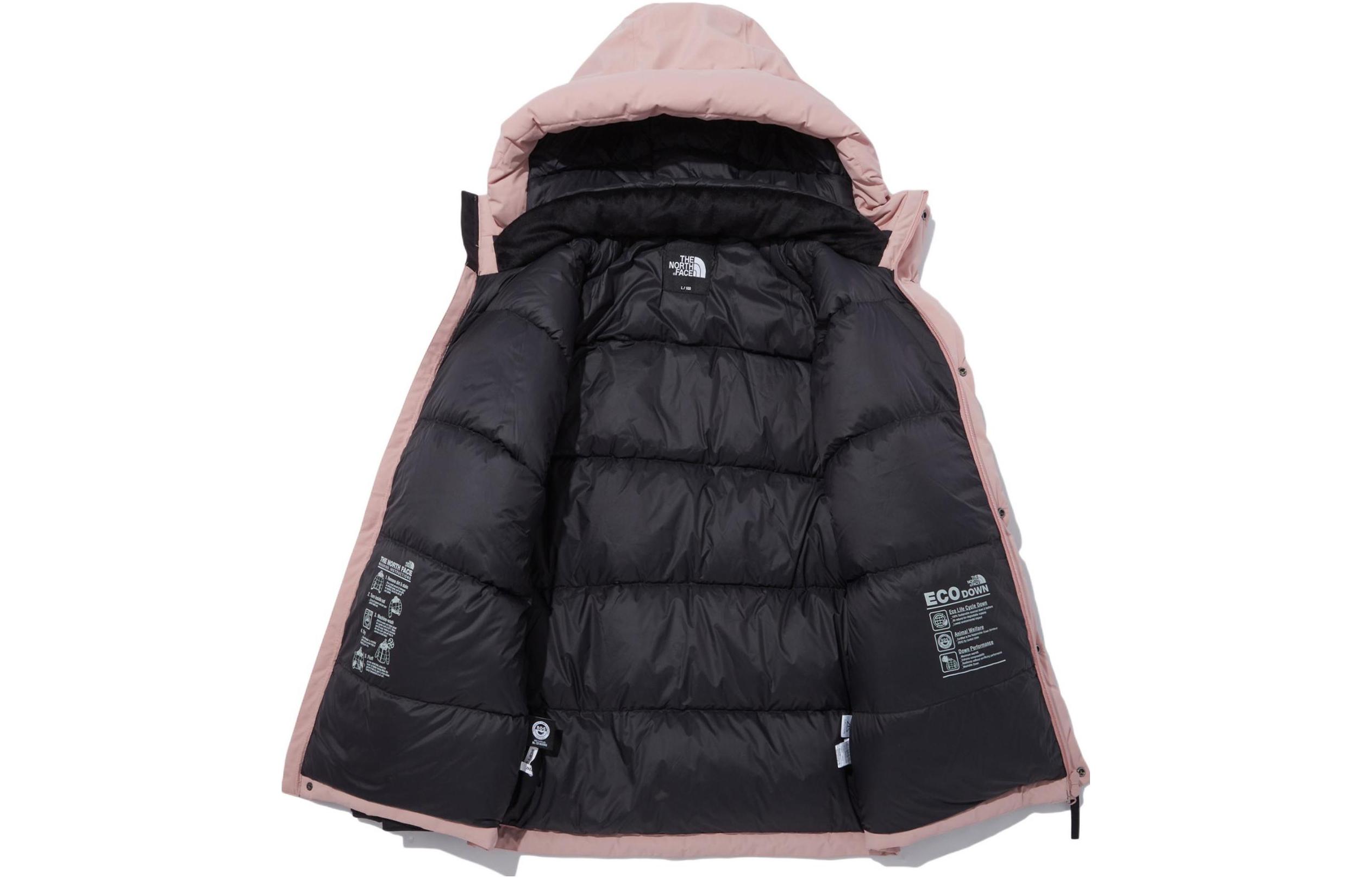 Женская утепленная куртка The North Face Dryvent Logo (розовая) — фото 3