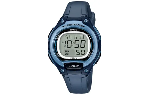 CASIO Unisex Gray Watch LW-203-2A