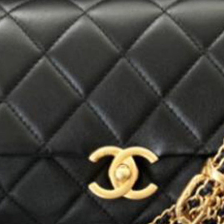 Женские сумка Chanel 23S (черный) — фото 4