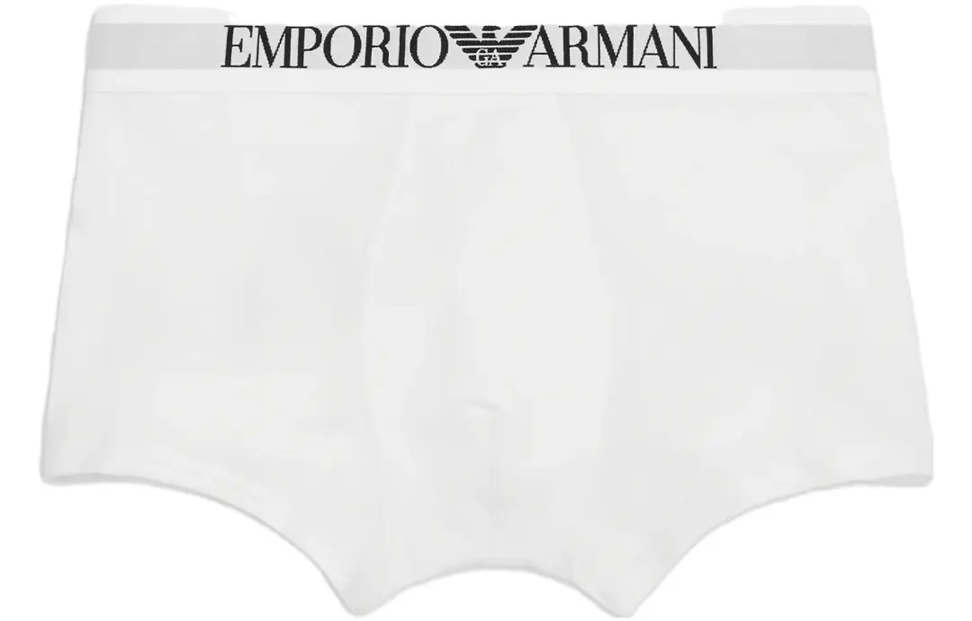 Emporio Armani Basic boxer briefs with logo waistband