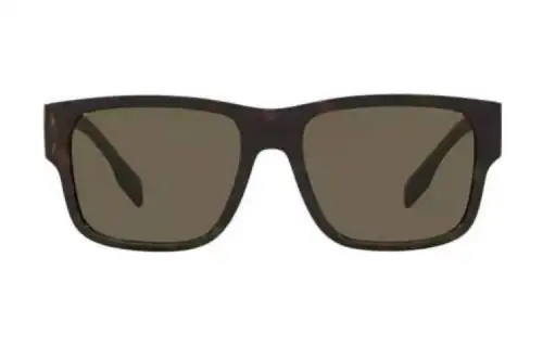 Burberry Rectangular Sunglasses Men's Brown