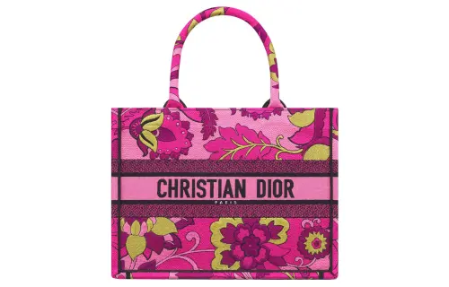 DIOR BookTote Handbags