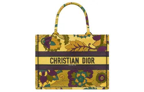 DIOR BookTote Handbags