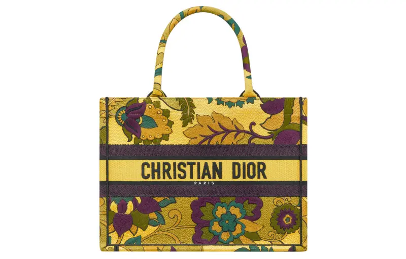 DIOR BookTote Handbags