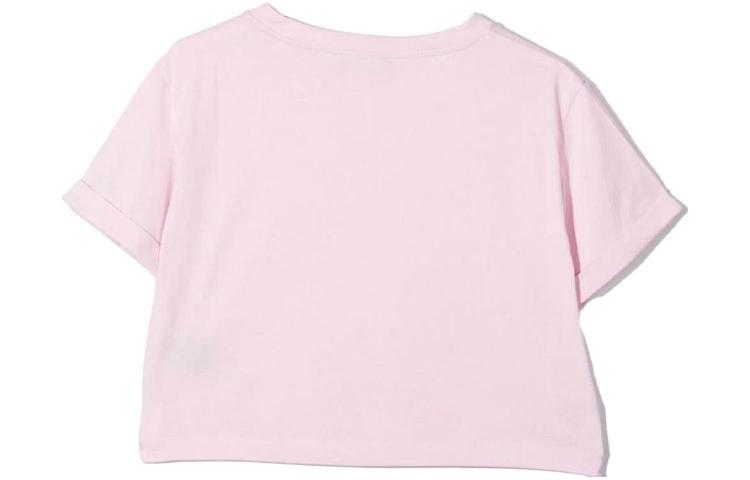 Photo 21712483
