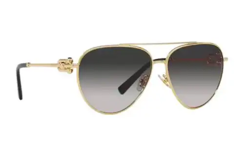 TIFFANY & CO. Sunglasses Women's Gold