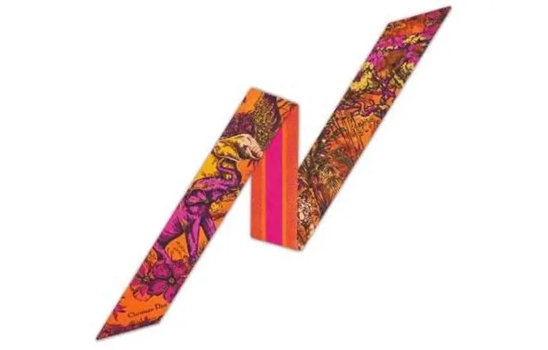 DIOR Scarves Women's Multicolor