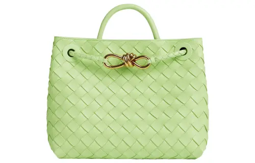 Bottega Veneta Andiamo Sheepskin Shoulder Bag, Crossbody Bag, Handbag Small Women's Green