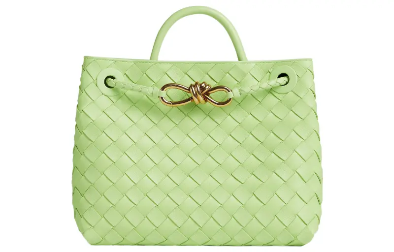 Bottega Veneta Andiamo Sheepskin Shoulder Bag, Crossbody Bag, Handbag Small Women's Green