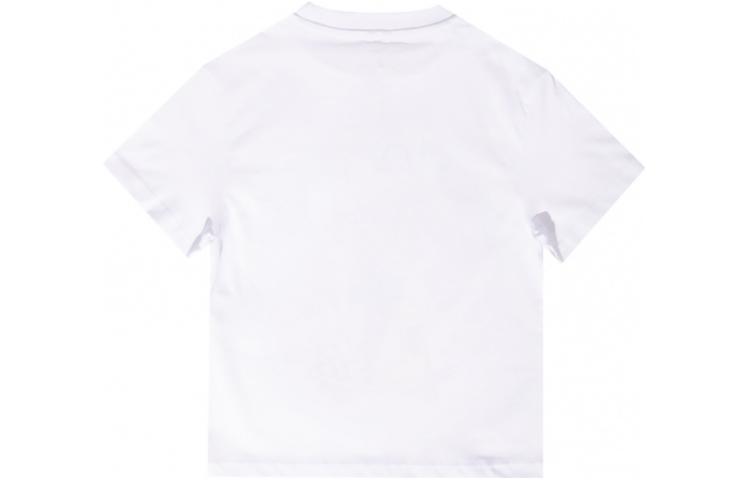 Photo 21675662
