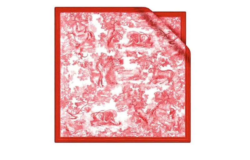 DIOR Scarves Women's Red
