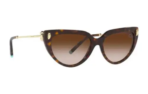 TIFFANY & CO. Cat-Eye Frame Glasses