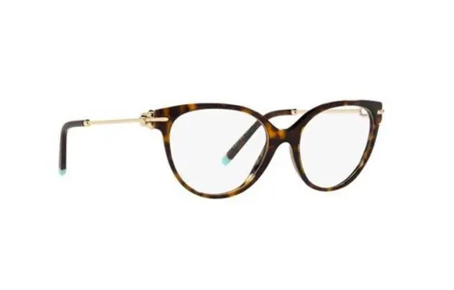 Tiffany & CO. cat-eye tortoiseshell glasses