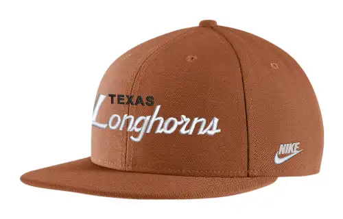 Nike Baseball Caps Unisex Brown