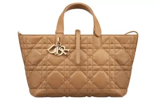DIOR Toujours Cow Leather Native Handbag Medium Women's Bronze