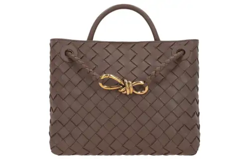 Bottega Veneta Andiamo Sheepskin Shoulder Bag, Crossbody Bag, Handbag Small Unisex Umber