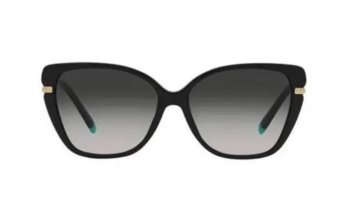 TIFFANY & CO. Acetate Metal Butterfly Sunglasses Women's Black