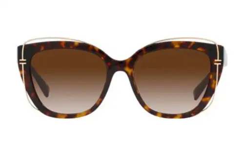TIFFANY & CO. Acetate Irregular Shape Sunglasses Women's Brown