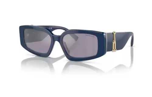 tinted-lenses rectangle-frame sunglasses