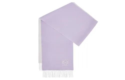 LOEWE Knit Scarves Women's Purple