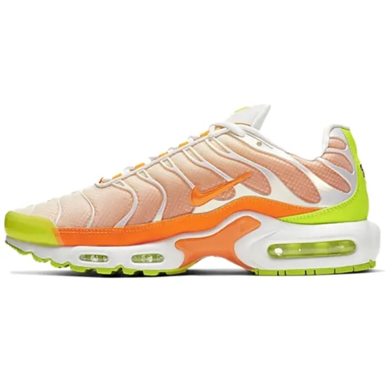 Nike Air Max Plus Color Flip Pack Grape