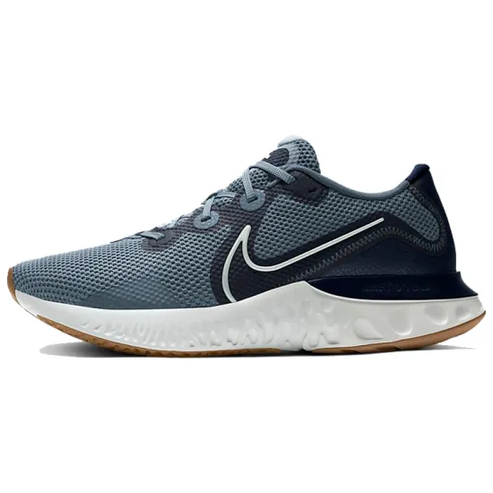 Nike Renew Run Ozone Blue