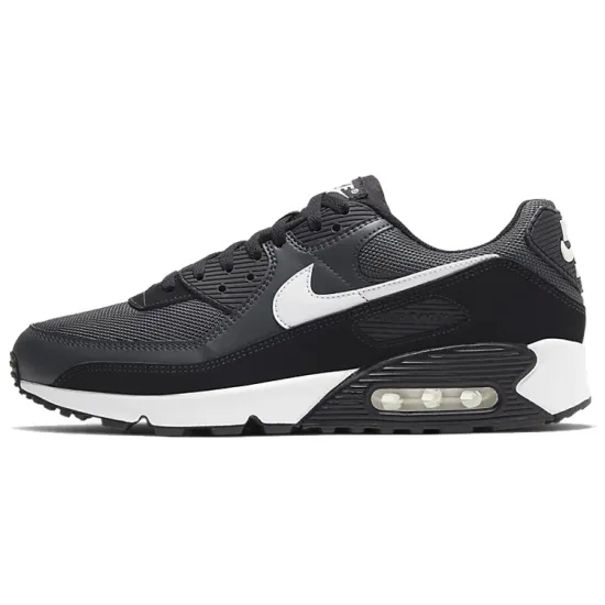 Nike Air Max 90 Iron Grey
