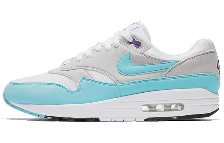 Nike Air Max 1 OG Anniversary 